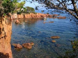 Saint Raphael