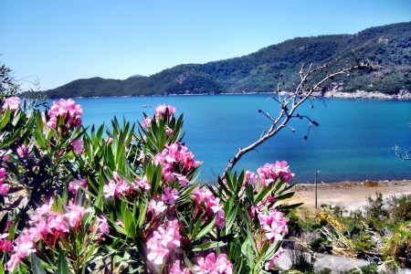 Datça - Knidos (22 mn)