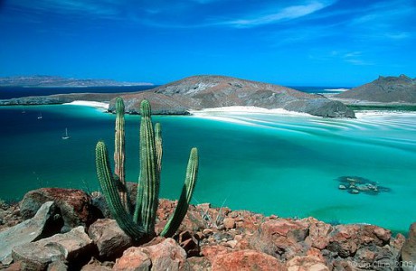 La Paz - Ensenada Grande ( 30MN )